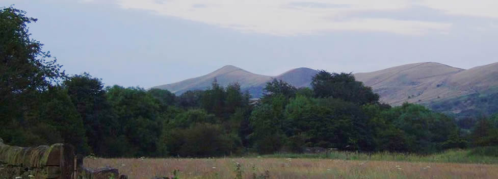 Nearby Woods and Hills - Doncaster