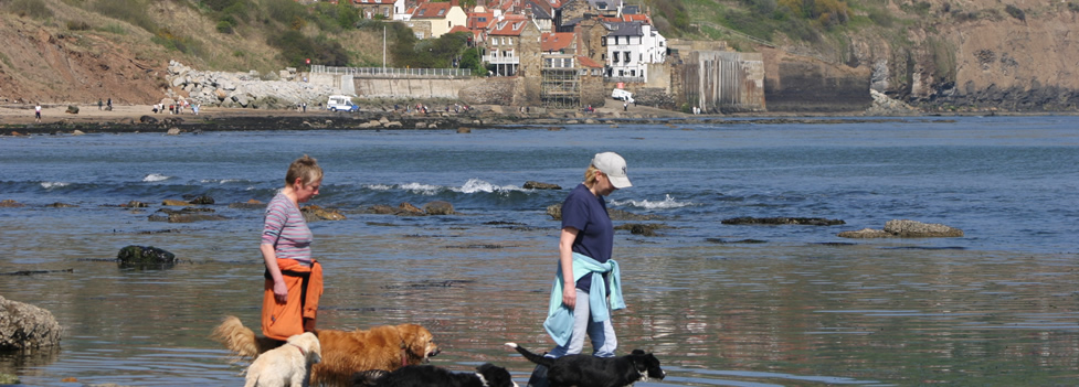 Bogglehole - Yorkshire Coast