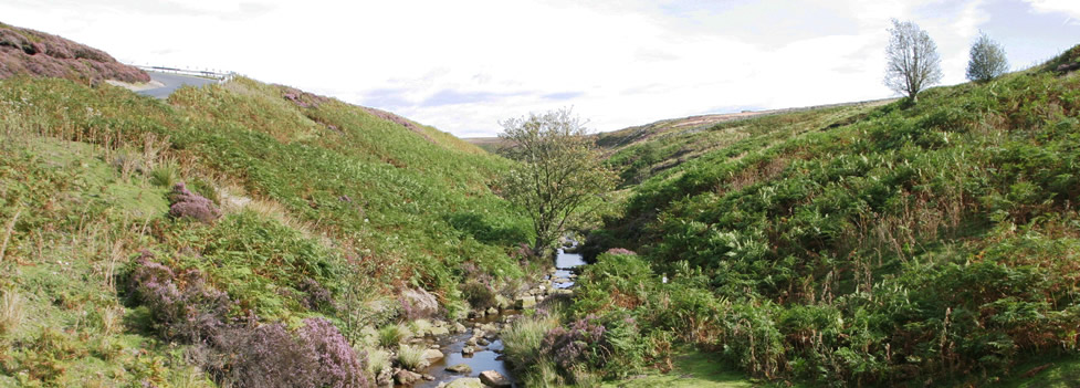  - Yorkshire Dales
